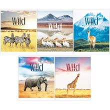Тетрадь 80л., А5, клетка ArtSpace "Животные. Wild and cute", ВД-лак, арт. Т80к_26689