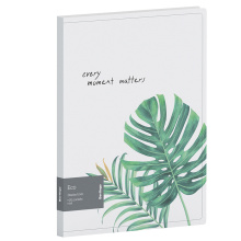 Папка с 20 вкладышами Berlingo "Eco", 17мм, 600мкм, с внутр. карманом, с рисунком, арт. DB4_20801